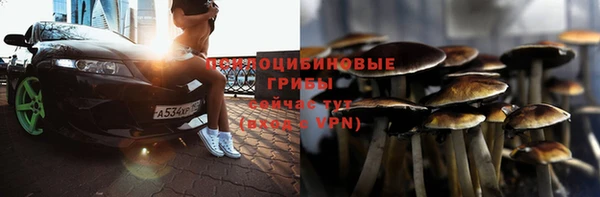 ALPHA PVP Каменногорск
