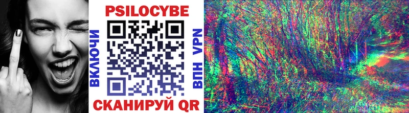 Купить где  Карачев  Галлюциногенные грибы мицелий 